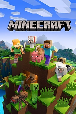 Оформление коробки Minecraft