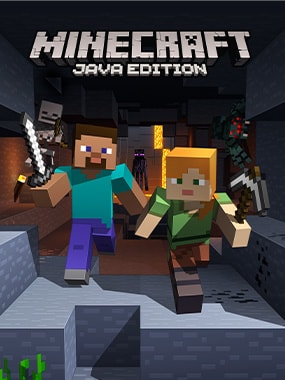 Indløs Minecraft Java Edition