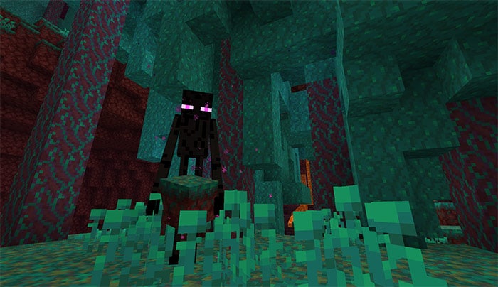 Enderman en el Nether